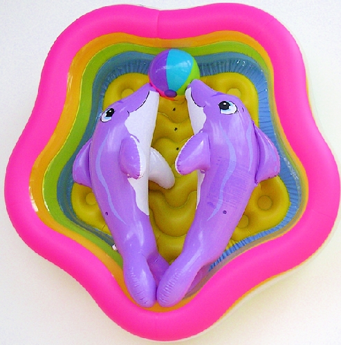 Pneumostructure, Dauphins - 2004