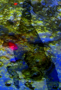 Plus d'informations sur cette exposition