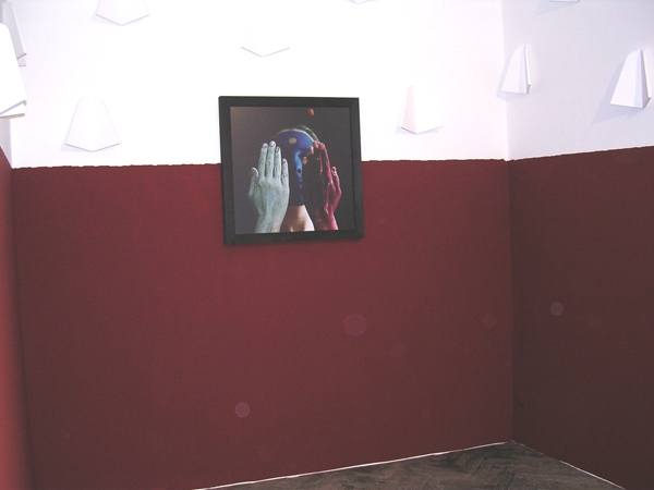 Paesaggio segreto, installation - 2006