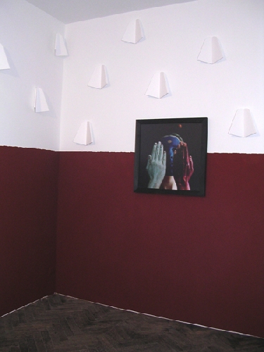 Paesaggio segreto, installation - 