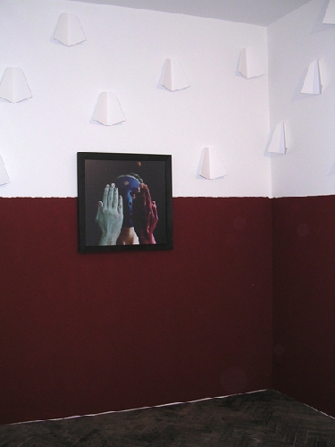 Paesaggio segreto, installation - 