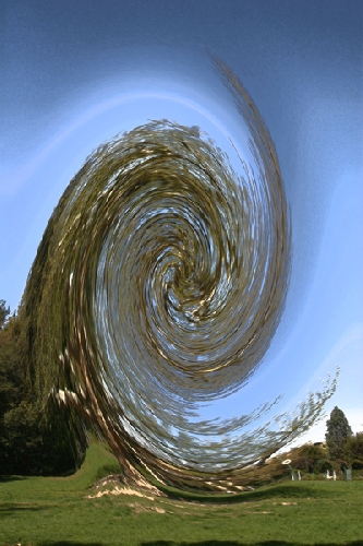 Distorsion - 2004