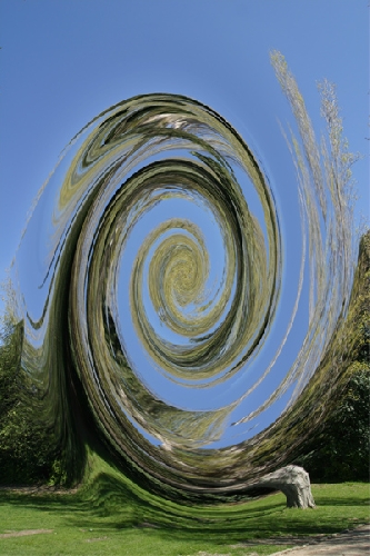 Distorsion - 2004