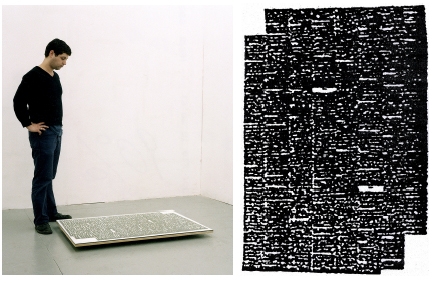 Untitled (Metamorphosis 2) - 2003