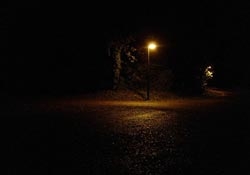 Plus d'informations sur cette exposition