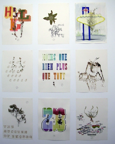 Daniel Perrier, Las Vegas - Santa Fe, Herbarium - 2007