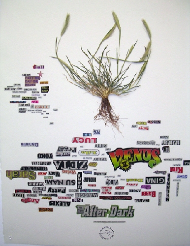 Daniel Perrier, Las Vegas - Santa Fe, Herbarium - 2007