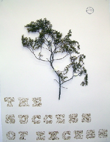 Daniel Perrier, Las Vegas - Santa Fe, Herbarium - 2007