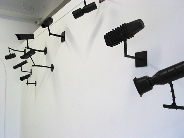 Exposition La foi de la jungle, Le pavé dans la mare, Besançon - 2006