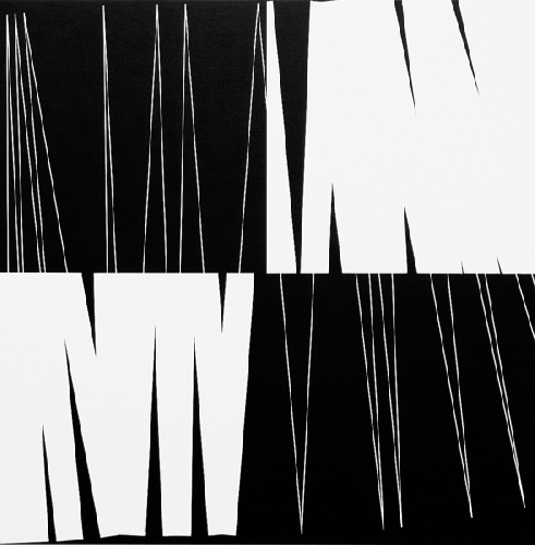 N&eacute;gatif n&deg; 3  - 2008