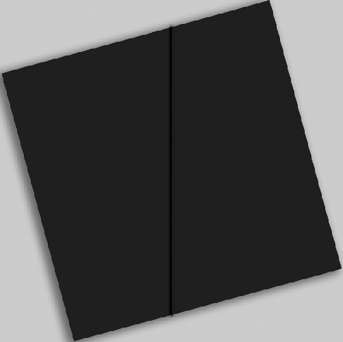 N&eacute;gatif n&deg; 4  - 2008