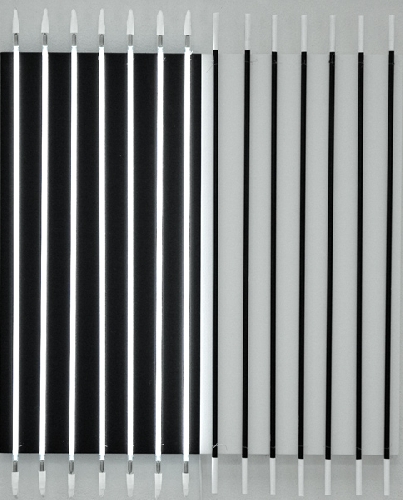 P&eacute;gatif et Nositif - 2008