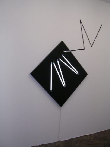 "N&eacute;gatif n&deg; 7 (de 05039)" (p strip-teasing1 = 10&deg; sur la pointe) - 2008