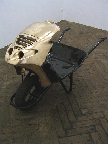 Rodolphe Huguet       Vespa velutina - 2009