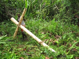 Preparations - 2007