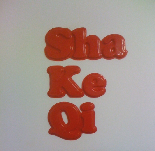 Sha Ke Qi (L'idiot en colère) - 2009