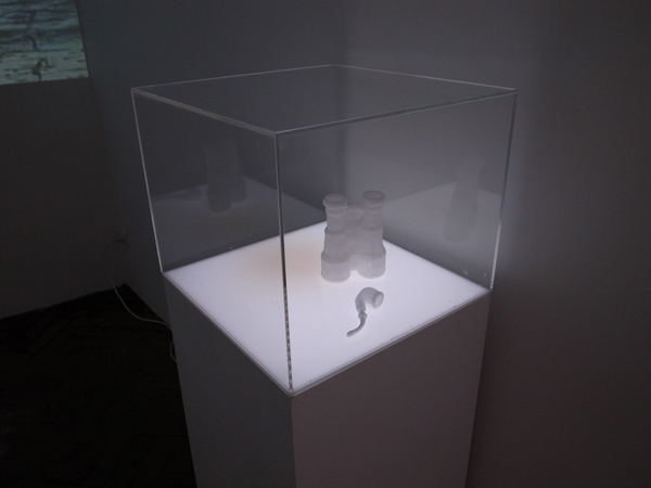 Paysages temporels, jumelles, pipe - 2010