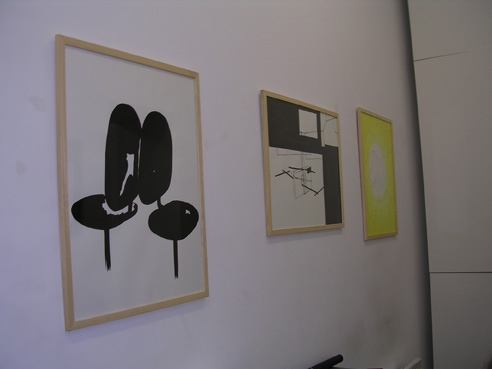 Vue de l'exposition - 2011