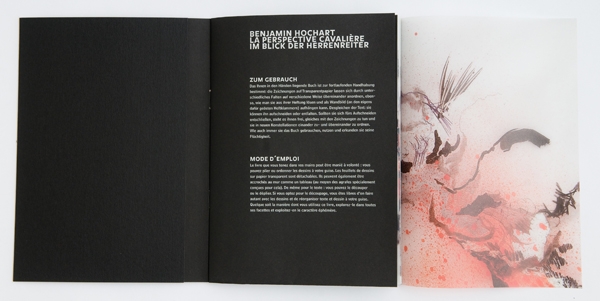 La perspective cavalière  Im Blick der Herrenreiter - 2009