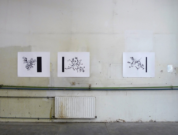 Study for a Wall Drawing - 2009