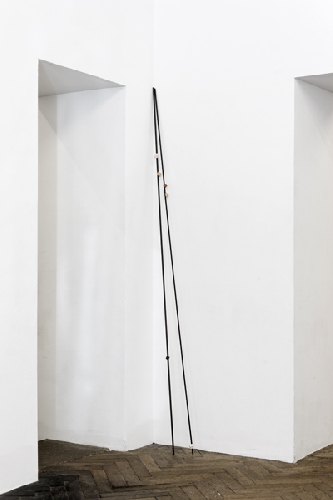 Section XII, Section XXXVII - 2010