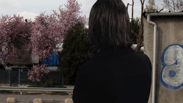 The Outskirts - 2011