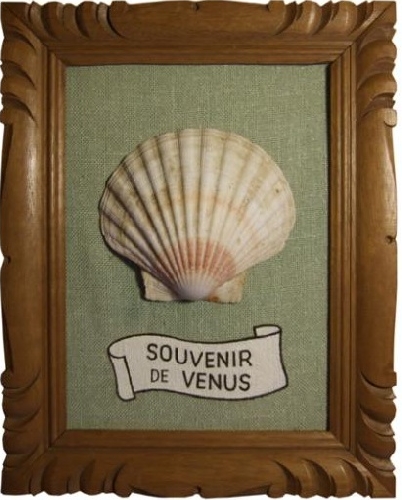 Souche, Souvenir de Venus - 2011