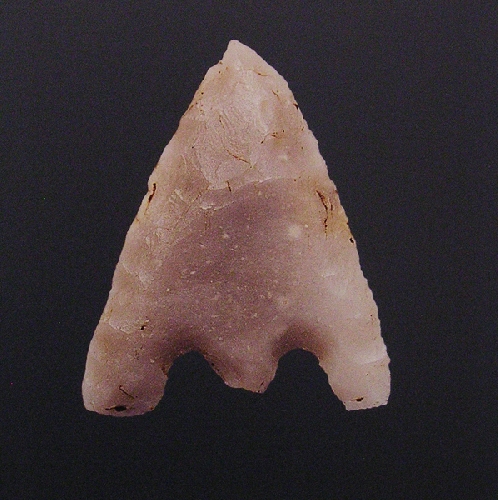 S&eacute;rie Protoformes - 2012