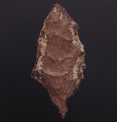 S&eacute;rie Protoformes - 2012