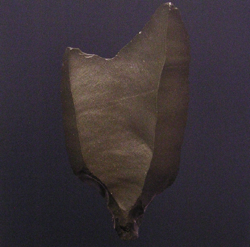 S&eacute;rie Protoformes - 2012