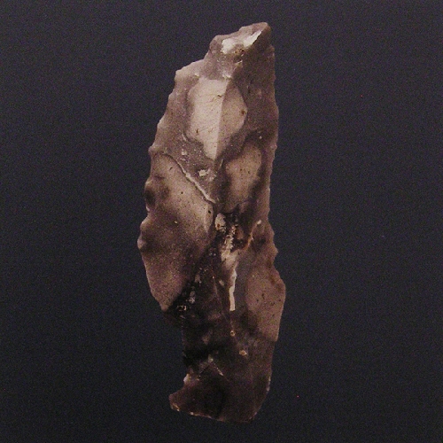 S&eacute;rie Protoformes - 2012