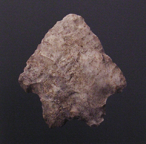  S&eacute;rie Protoformes - 2012