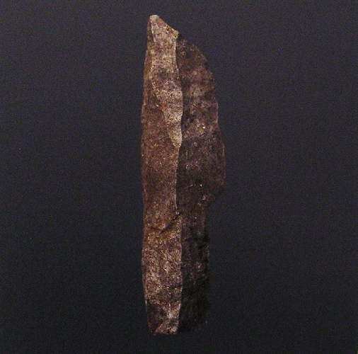 S&eacute;rie Protoformes - 2012