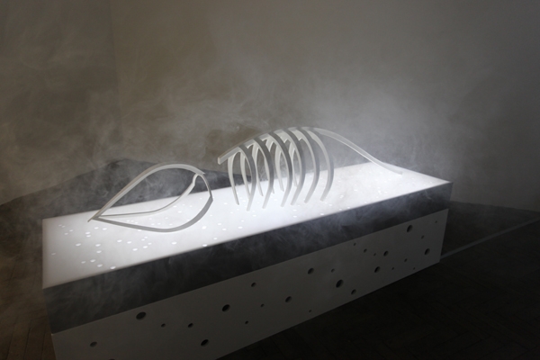 Via Lact&eacute;a - 2012