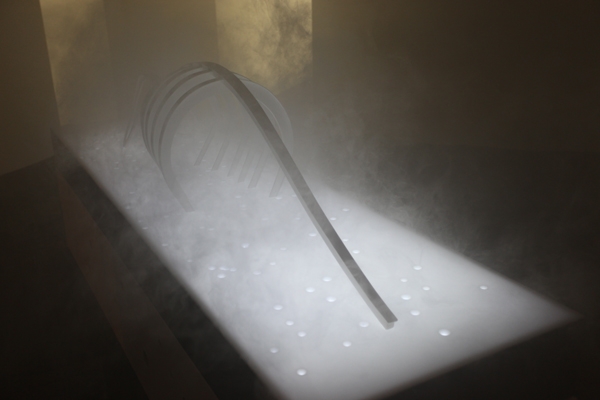 Via Lact&eacute;a - 2012