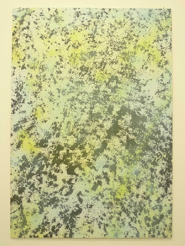 SOL #10  - 2013