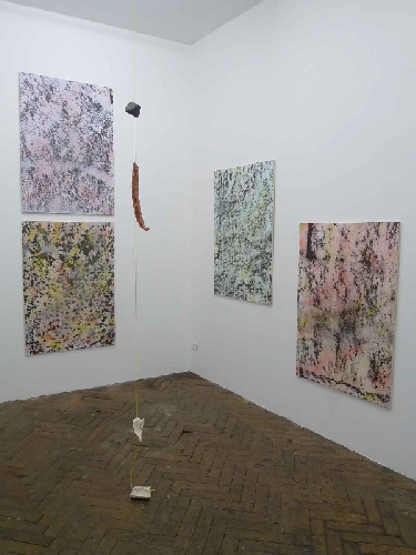 Vue de l'exposition  - 2013