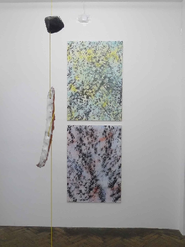 Vue de l'exposition (détail) - 2013