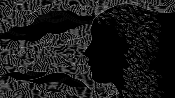 i:dream - 2013